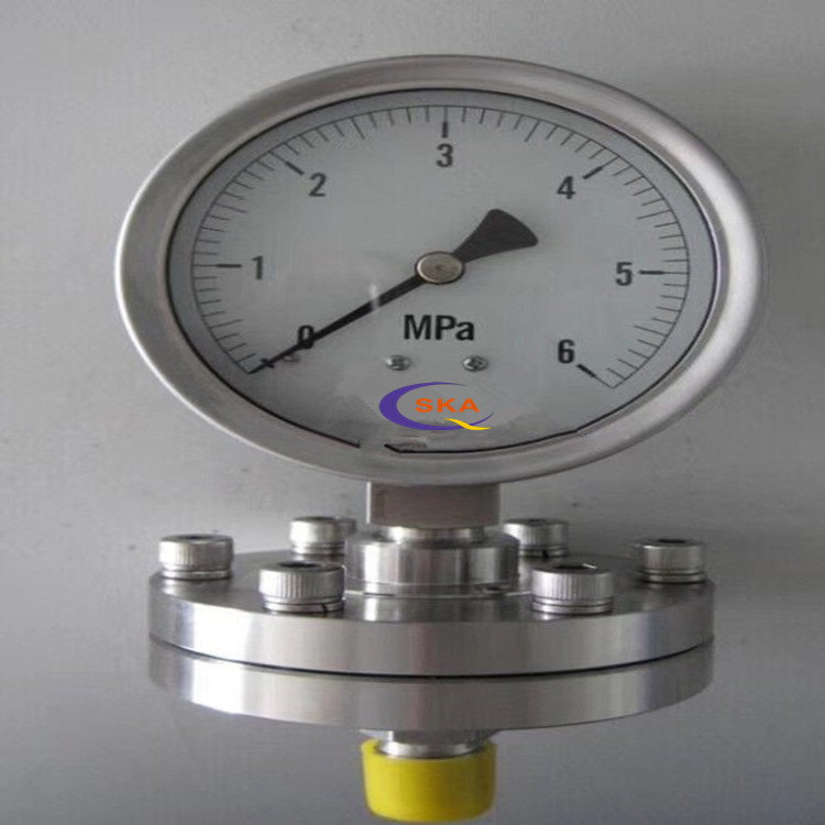 ĤƬѹY100΢ѹĤǧ Diaphragm gauge