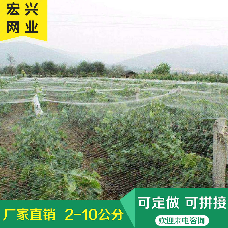 厂家供应农用防鸟网 天网 防逃网40目批发 防鸟网