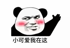 Bottes femme JING XIN en Daim - Ref 3354828 Image 7