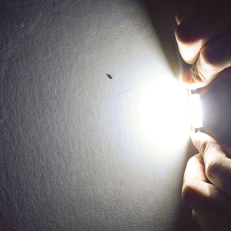 1pcs-31mm-36mm-39mm-42mm12V-Fe