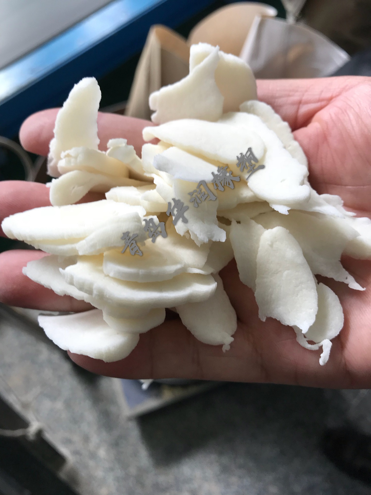 批发零售 输送带原料3221,3222,2321,2322氯丁胶