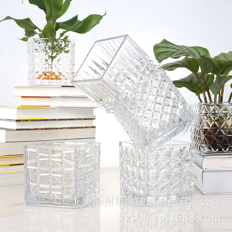玻璃水培瓶容器铜钱草植物花盆绿萝花瓶透明客厅插花水晶方缸摆件