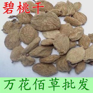 ���l��ș�ı��Ҹ� ��ū �T�Ҹ�