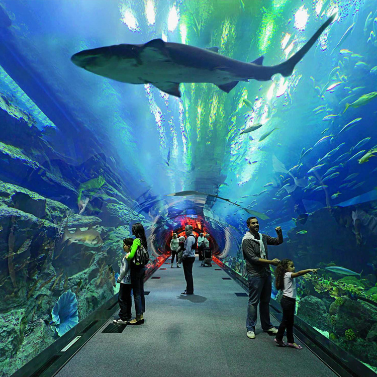 厂家供应大型亚克力鱼缸 海洋馆弧形圆型海底餐厅巨型玻璃
