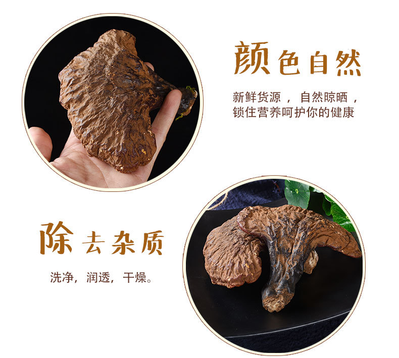 Reishi Mushroom Slices (Ganoderma lucidum) — Dried Chi Zhi from Changbai Mountain, Jilin key features
