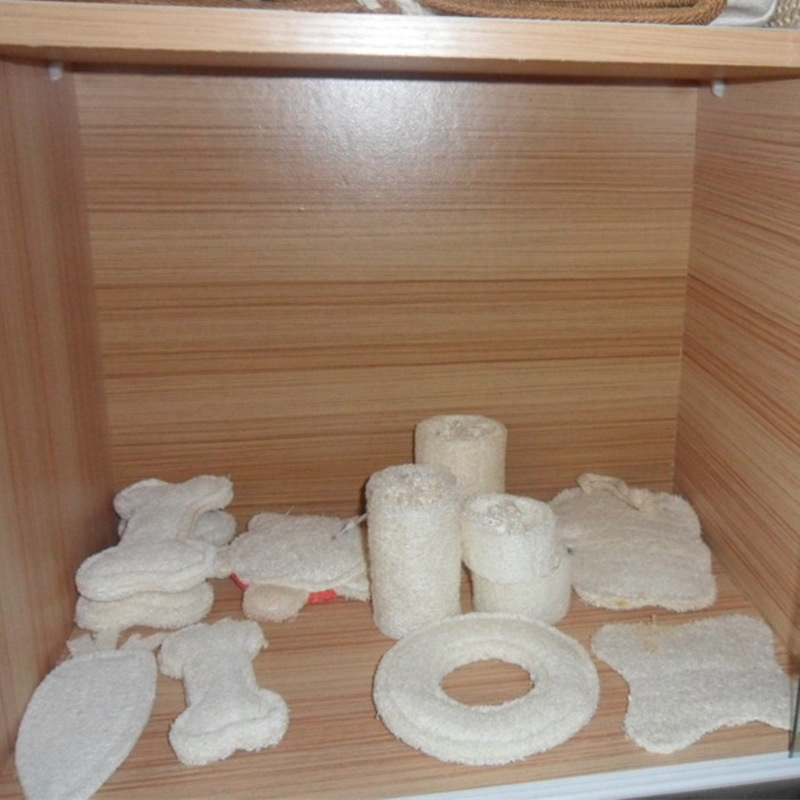 2199924408_879207335