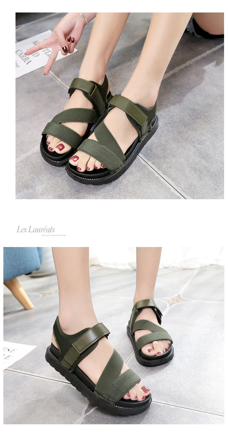 9411779411_1430123222.jpg (750×1438)