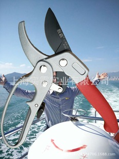 �n����818A��֦��̨��������������ͥ�@ˇ�����{�Ƽ����@�ּ���