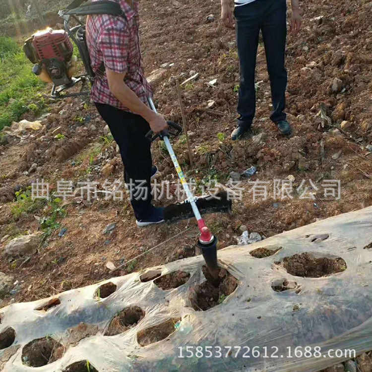 快速作业栽苗器仙桃温室大棚栽苗器