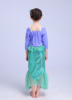 Small princess costume, nail sequins, skirt, long sleeve, fish tail, wholesale