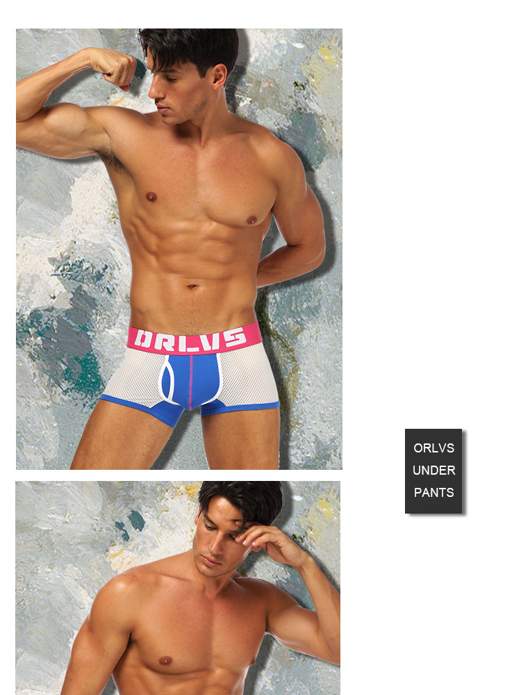 ORLVS foreign trade source cotton plalic mesh men's underwear sexy breathable four-corner pants men's OR156 13 undefined