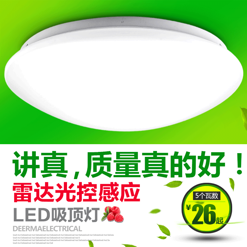 It's beautiful radar move Induction LED Ceiling lamp Bright function replace human body Sound and light control Ceiling lamp
