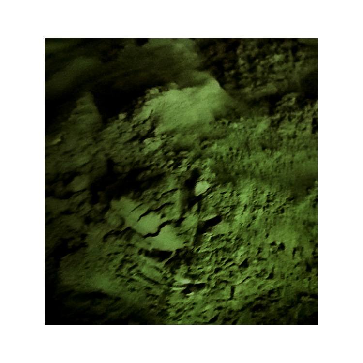 天健大量批发绿藻片破壁蛋白核小球藻多 CGF含量好营养量大从优