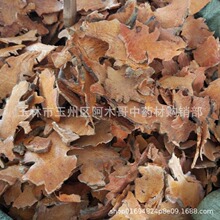 ���� ���� ��ș�� �����^ ������ ������ ��Ʒ��Ʒ