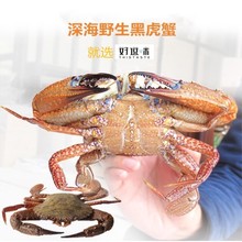 ����ڻ�з  ��з ʯз��Դ������������,��ζ�����r���r