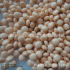 Light -noodle pill -shaped round flat beads colorless round flat beads color pill model beads beadsless flat ball beads