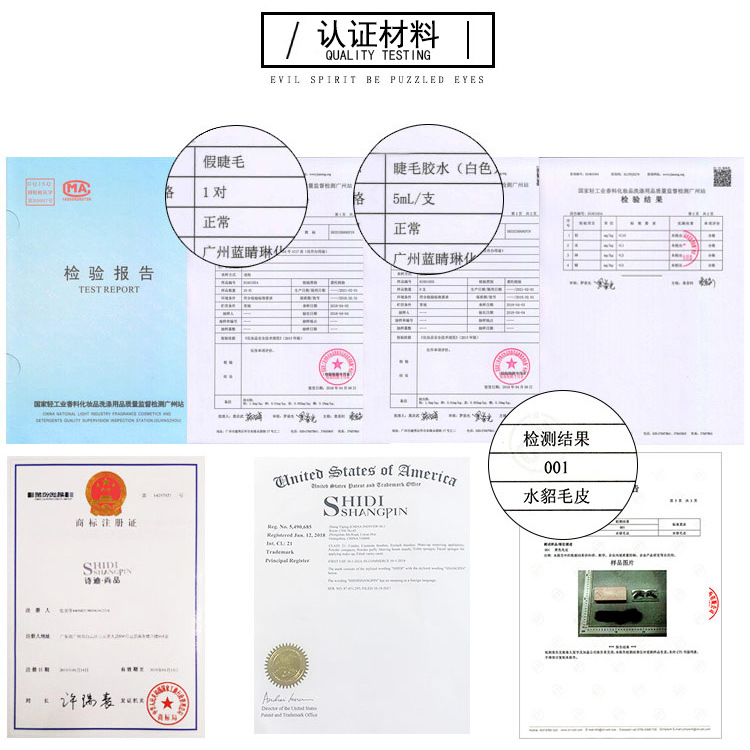 X介绍2.jpg