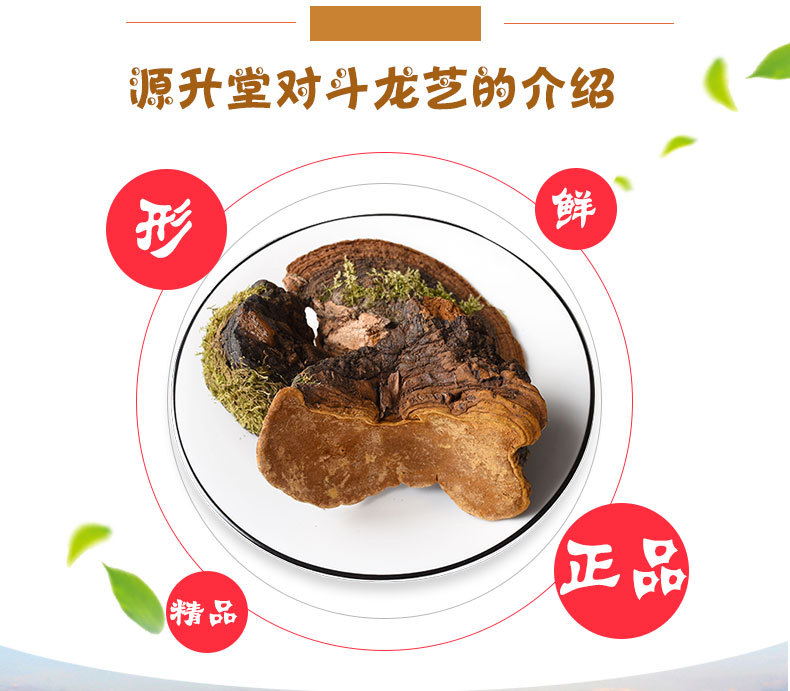 Dou Long Zhi (Ganoderma) — Tibetan Dried Reishi Mushroom, Bulk 500g Food Herb key features