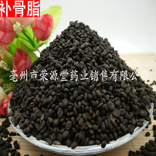 ���l��ș�� �a��֬ �ڹ��� ��֬ ���Mĥ�� ���ȫ ��؛����