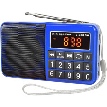 L-238SW radio, international radio fm am mw sw