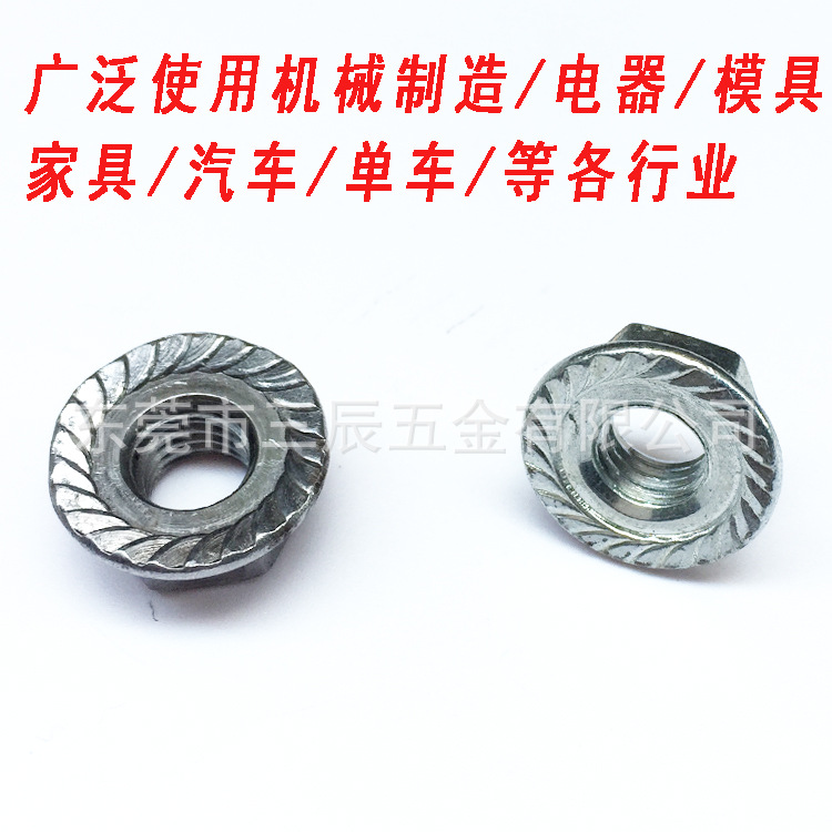 法兰6.jpg