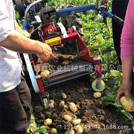 薯类起挖机现货直销地瓜起挖机型号齐全土豆地瓜收获机杀秧机图片