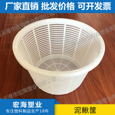 Conch basket Wang Hai Manufactor Direct selling household Plastic fruit Vegetables transport thickening Loach