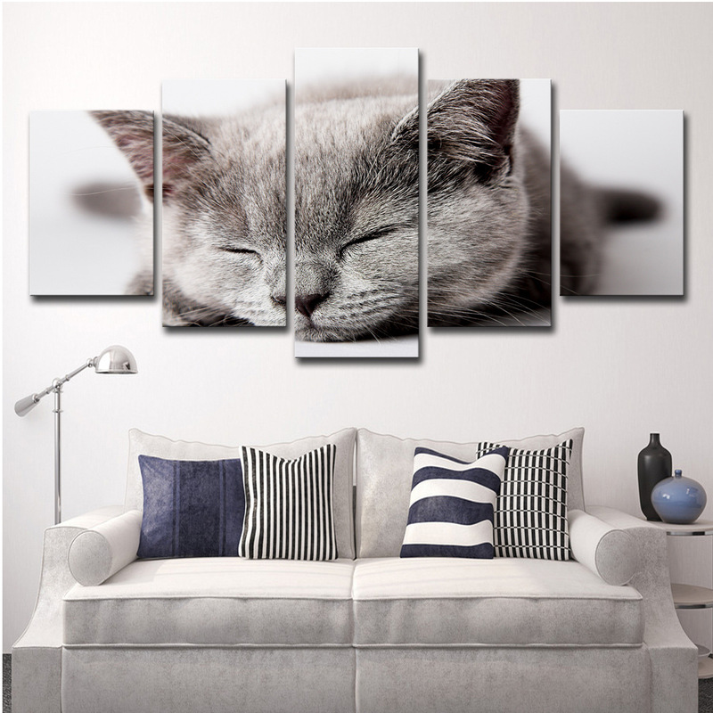 Cross-border AliExpress, wish5 canvas art sleeping gray cat Wall living room decoration frame photo Cross-border AliExpress, wish5 canvas art sleeping gray cat Wall living room decoration frame photo