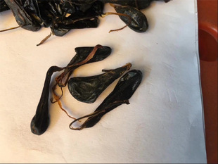 ������ș�� ��đ �岽��đ�� ������đ ��؛����