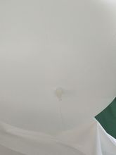 厂家供应充气娃娃 pvc水上充气海滩球 TPU充气气球