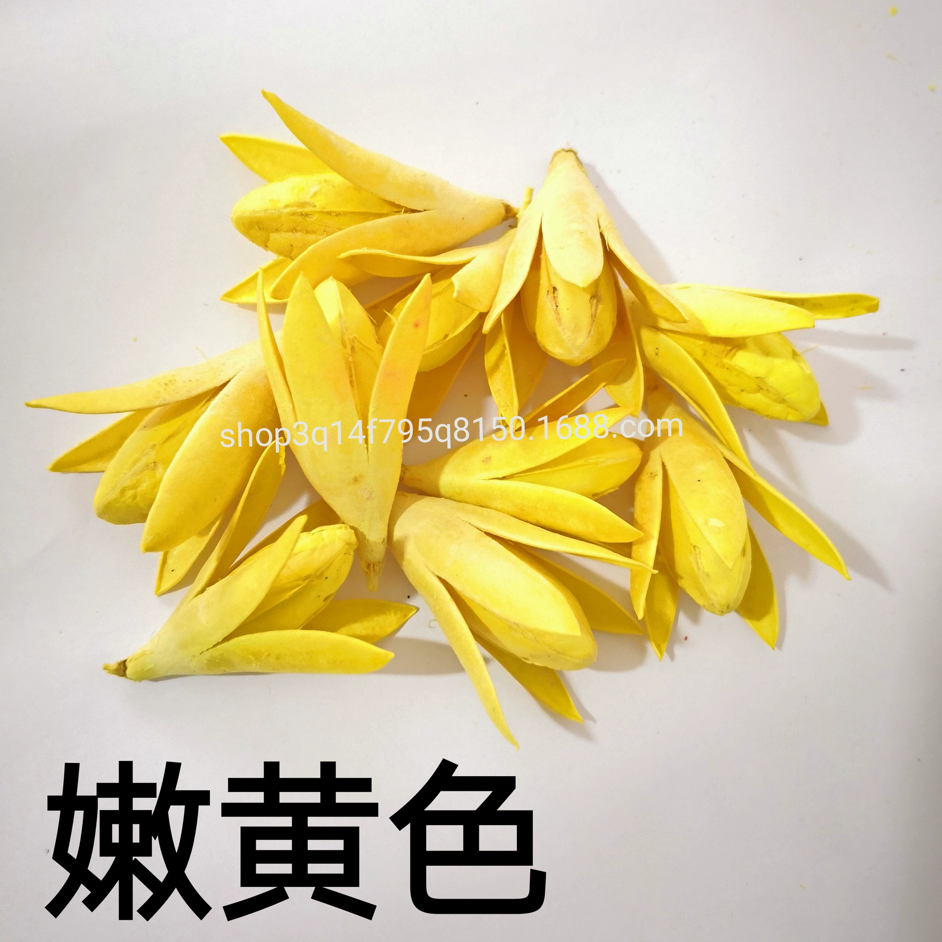 [Magnolia] Manufacturer supply naturally toon fruit shell Magnolia dried magnolia flower DIY handmade flower combination flower material