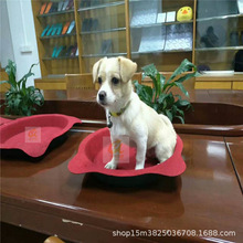 ���S����EVA+ë�ֲ����Ό���؈�C ؈��С�޵����ﴲ�ቺ����