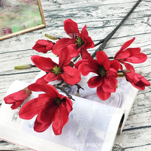 �������m�� ���滨�ٻ����lľ�޻���c�ҾӔzӰܛ�b�b�