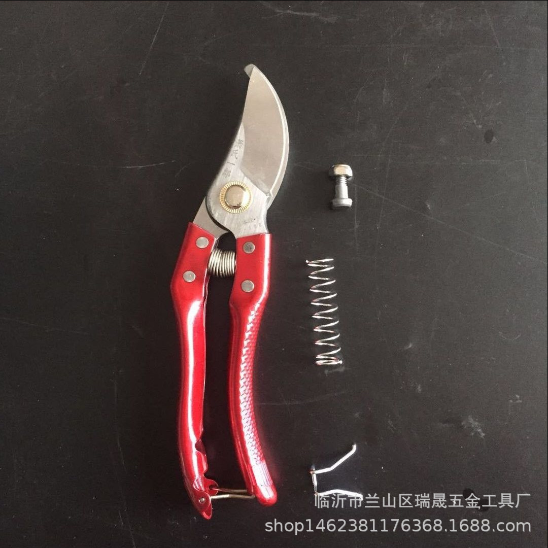 详情图