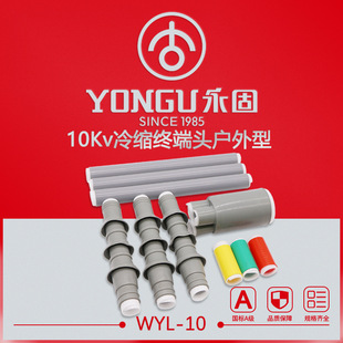 ��s��|����10KV����WYL-10/1.1-3.4����о�^���ܽK���^���z�׹�