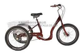 三轮车;自行车;电动三轮车