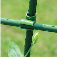 �S��ֱ�N�N�˷N������ů���A�����ٰ���䓹������ʮ�ֿ��̶�����