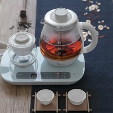 小熊ZCQ-A08E1煮茶壶0.8L煮茶器玻璃蒸汽泡茶养生壶办公铁观音