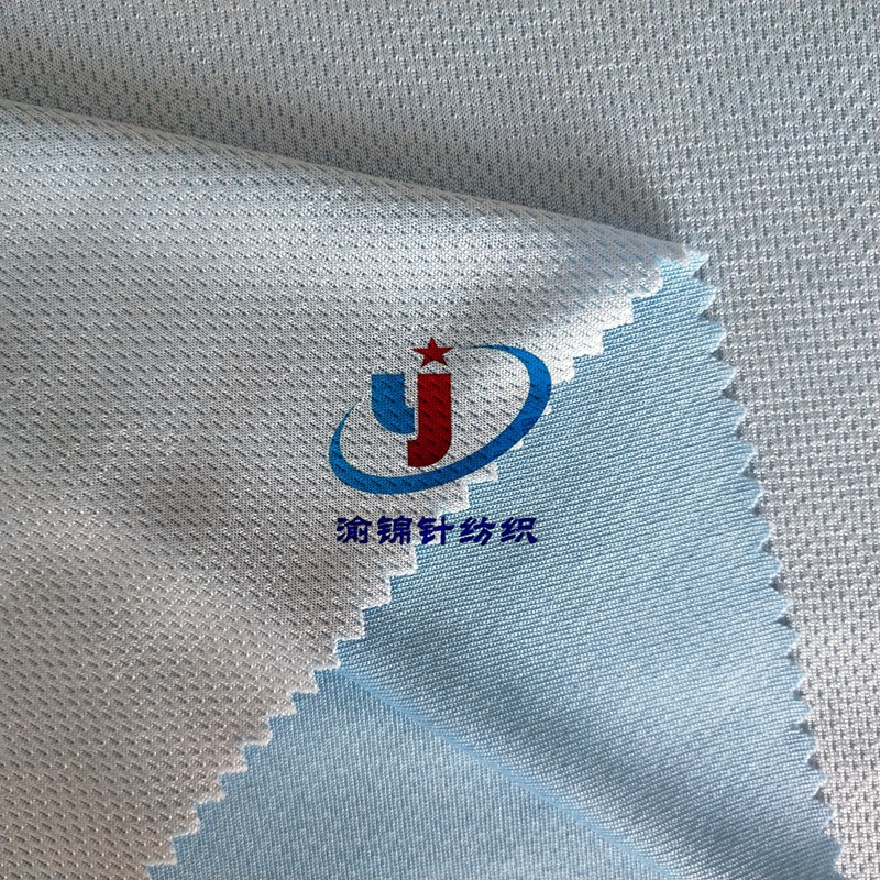 冷感涤锦双色鸟眼布时尚潮流T恤服装 汽车坐垫 以及狗窝狗垫面料