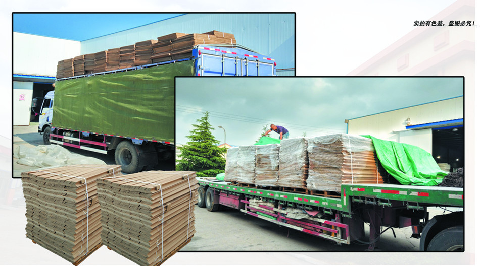 3144080823_439321459