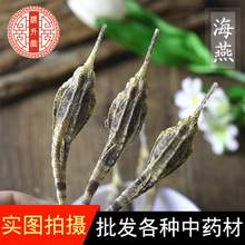 中药材批发现货海燕 足干海麻雀泡酒料 清水海燕名贵药材一件代发