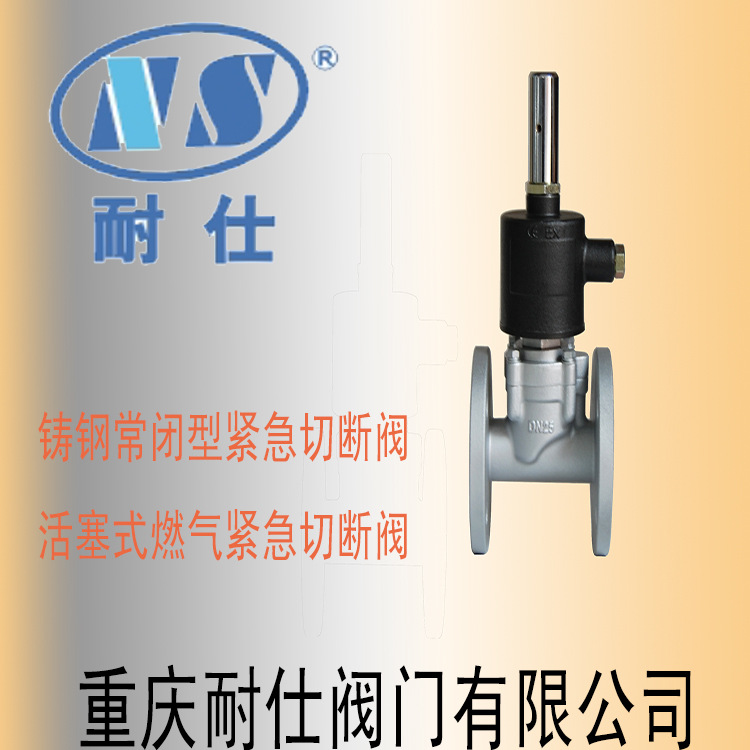 重庆耐仕专业生产直销常闭型电磁式紧急切断阀