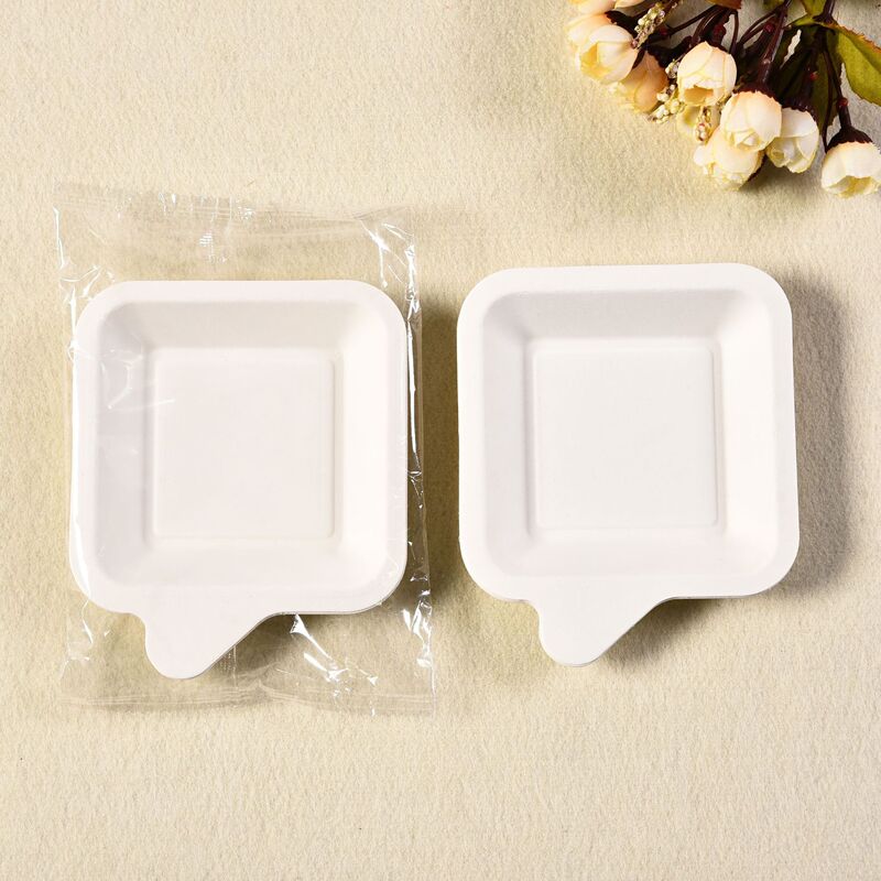 Wholesale 21-Person Cake Fork and Plate Pure Pulp Disposable Paper Plate Bowl and Chopsticks Square Sugarcane Pulp Tableware Biodegradable Dessert