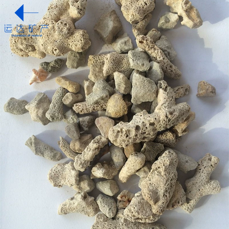 Coral aquarium, cigarette holder