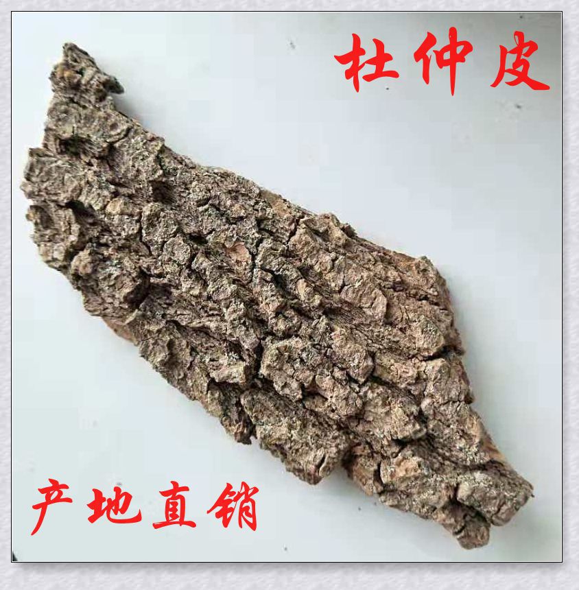 杜仲  杜仲皮  甘肃陇南杜仲皮  量大从优  产地批发