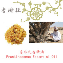 㾫Frankincense Essential OilƼ10ML