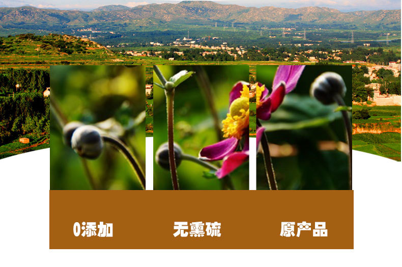 Cotton Root (Gossypium herbaceum) — Dried Authentic Chinese Herbal Decoction Piece, 500g quality and texture