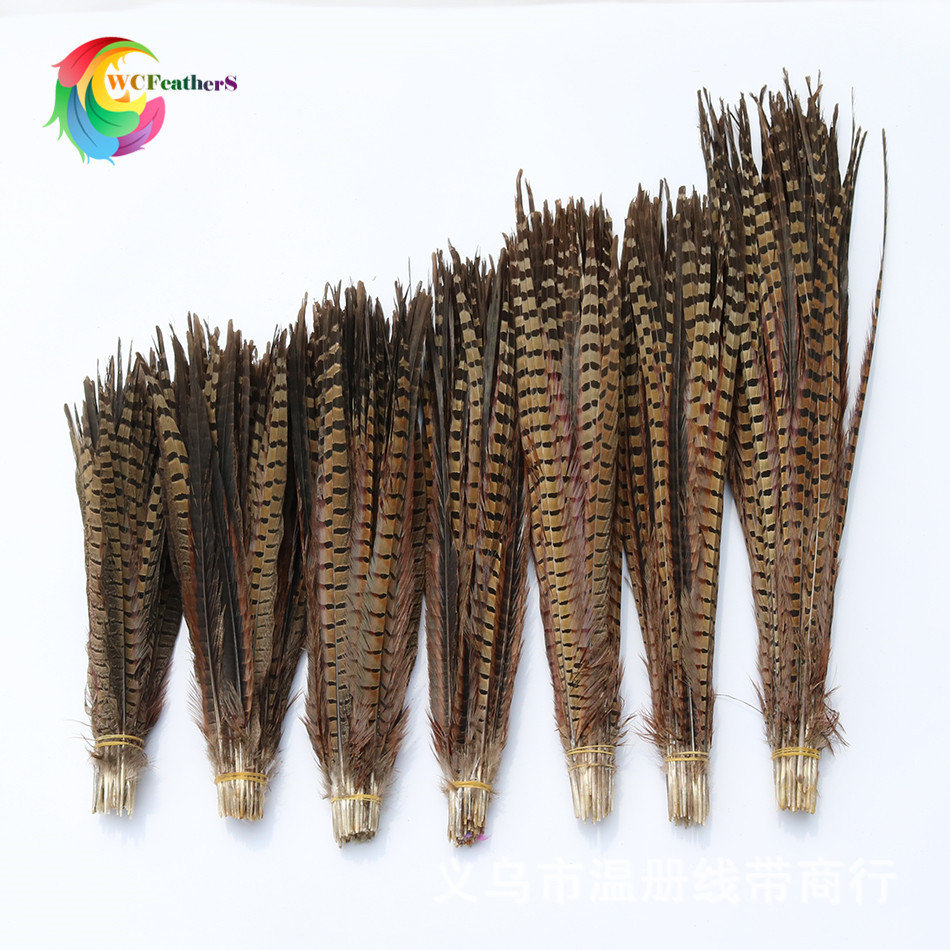 温册羽毛 厂家直销15-65cm天然山鸡尾七彩山鸡舞台演出剧组专用详情图10