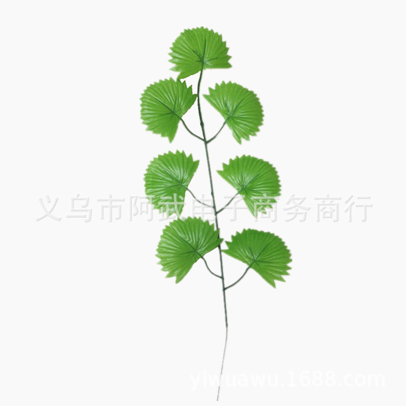 IMG_20180616_162859_副本