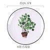 Ceramic green creative cartoon plant lamp, set home use, tableware